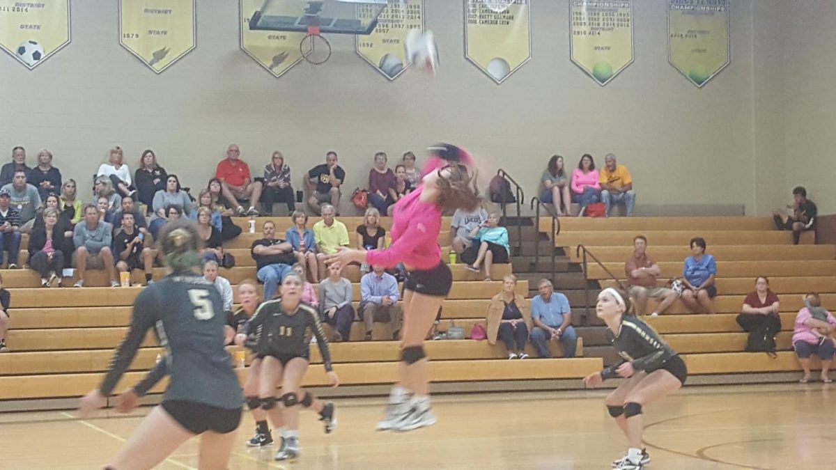 Ally Moore goes up  to spike the ball against Lutheran South on Thursday, September 28. 