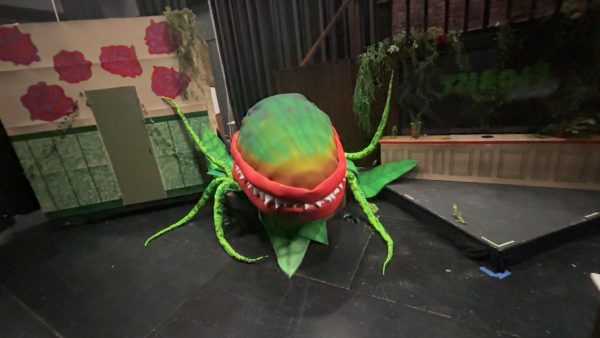 Audience members should enjoy the props in this years production. 