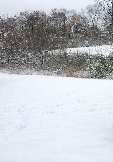 The entire St. Louis area was blanketed with snow. 