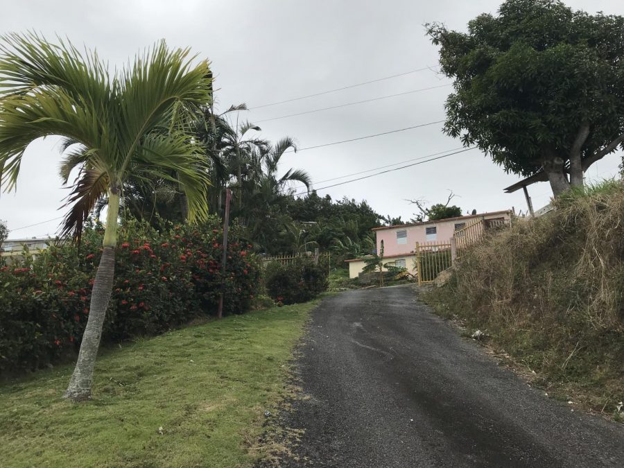 The road to Jorge Caraballo's house. 