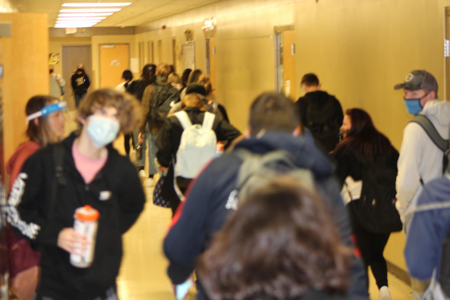 Blanket Ban The Hoot