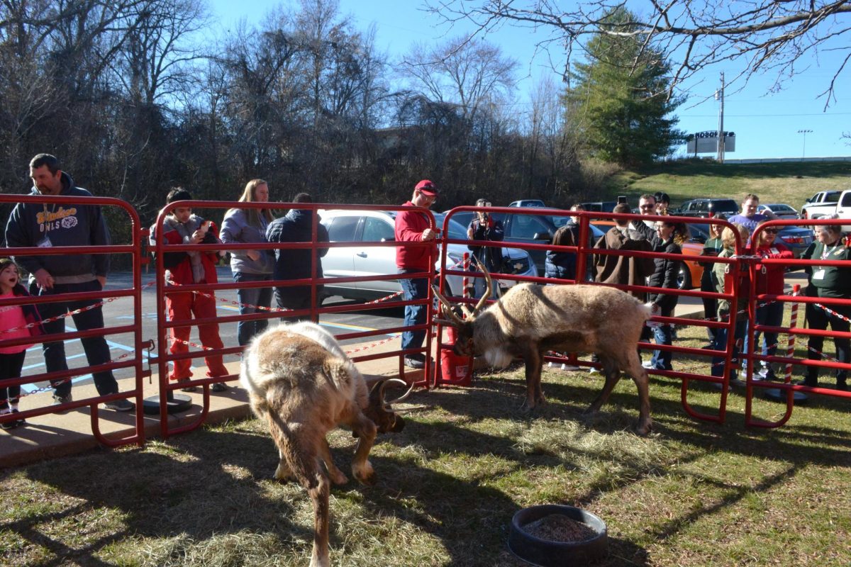 Holiday Happiness Week (Slideshow)